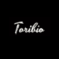 Make Your Mark - Toribio