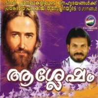 Maanam Maari - Biju Narayanan