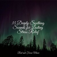 Delta Ocean - Alpha Brain Waves & Sleepy Night Music & Binaural Beats Brain Waves Isochronic Tones Brainwave Entrainment