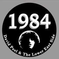 Ignorance Is Strength - David Peel & The Lower East Side