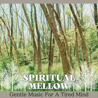 Music for a Calm Morning - Spiritual Mellow