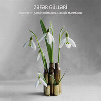 Zəfər Gülləri - PRoMete & Şəhriyar İmanov & Eldəniz Məmmədov
