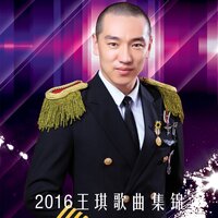 公园北街 - 王琪