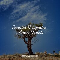 Gloria - Masaje Tantrico Musica Colección & Sons da Natureza Relax & Música ambiental relajante