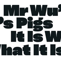 Made Of Weapons - Mr Wu's Pigs