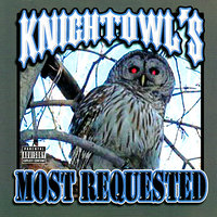 I'm Still Here - Mr. Knightowl