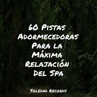 Paz Interior - Academia de Música para Massagem Relaxamento & Musica Para Dormir y Sonidos de la Naturaleza & Entrenamiento Autógeno y Meditación Specialistas
