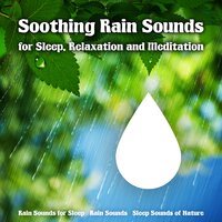 Rain Sound Effect for Elevators - Rain Sounds & Sleep Sounds Of Nature & Rain Sounds For Sleep