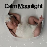 Instrumental Lullabies - Baby Dream Tunes