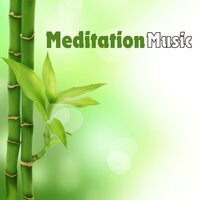 Tranquil Harmony - Meditation & Meditation Music & Meditation Music Tracks & Balanced Mindful Meditations