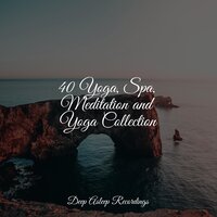 Counting Stones - Musica Relajante Para Dormir & Deep Sleep & Amazing Spa Music