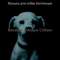 Чувство (Спящие собаки) - Музыка для собак Коллекции