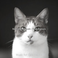 Nice (Cute Kittens) - Music for Cats Deluxe