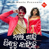 Nali Sadhi Pindhuchu Kahnki - Bibhu Kishore & Tapu Mishra