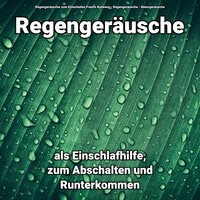 Beglückende Echos - Regengeräusche zum Einschlafen Franco Rodewig & Regengeräusche & Naturgeräusche