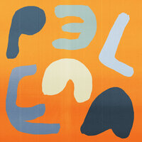 Collapsed Fields - Pelace