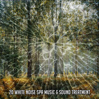 Дар фокуса - White Noise Relaxation