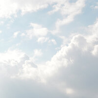 Leaves in the Wind - Chillout Lounge & Pro Sounds of Nature & Powerthoughts Meditation Club