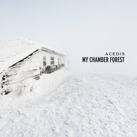 Same Walls - Acedis