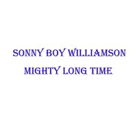 Do It If You Wanta - Sonny Boy Williamson