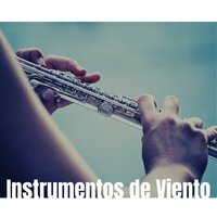Shakuhachi - Sonidos Naturales Relax