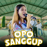 Opo Sanggup - Andin Nadira