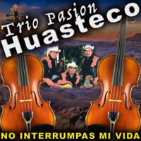 El Taconcito - Trio Pasion Huasteco