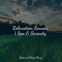 Chakra Serenity - Entspannungsmusik & Study Concentration & Serenity Spa Music Relaxation
