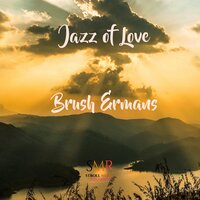 Only Once in a Lifetime - Brush Ermans
