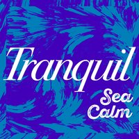 Sea Tide - Outside Broadcast Recordings