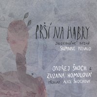 Nokturno - Ondrej Skoch & Zuzana Homolova & Zuzana Homolová, Ondřej Škoch