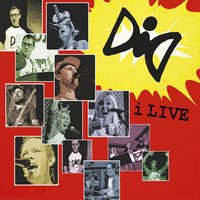 Foxy Fox - Dyr I Drift