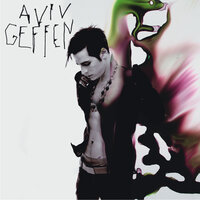 Forest In My Heart - Aviv Geffen