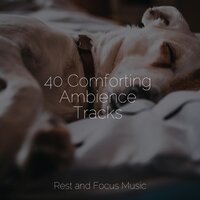 Majestic Mountain Rivers - Pink Noise & Sounds of Nature White Noise Sound Effects & Sound Sleeping