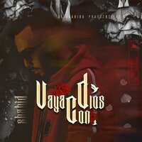 Vaya Con Dios - Shahid