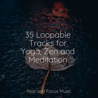 Hypnosis - Natureza Musica Bem-Estar Academia & Sleep Music & Spa Relaxation