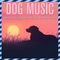Snuggle Session - Dog Music Dreams & Relax My Dog