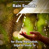 Rain Sounds for Sleep and Relaxation Pt. 22 - Nature Sounds & Rain Sounds & Rain Sounds to Fall Asleep To