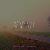 Start of Peace - Spa Music Collective & Kinderlieder Megastars & Binaural Beats