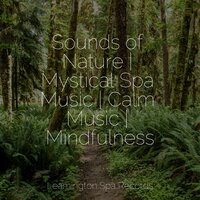 Drift Away - Crying & Colic Relief & Rain Sounds & Sonidos de lluvia para dormir