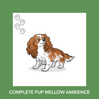 Enchanting Affection - Relaxing Dog Music