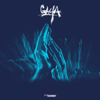 Gaya - Michael Brun & Lakou Mizik & J. Perry