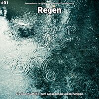 Regen, pt. 31 - Regengeräusche Harald Genk & Regengeräusche & Naturgeräusche