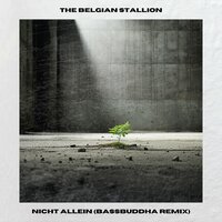 Nicht ALLEIN - The Belgian Stallion & BassBuddha