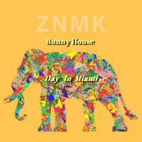 Day In Miami - Bunny House