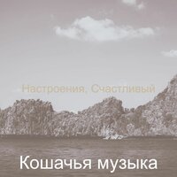 Потрясающие, расслабляющий - Кошачья музыка