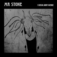 Kodiak - Mr Stone
