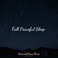 Wintergreen Mist - Tonal Meditation Collective & Chakra Meditation Universe & Massagem Coleção de Músicas