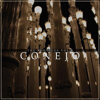 Speed of Light - Conejo