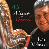 Violín Huapango - Iván Velasco